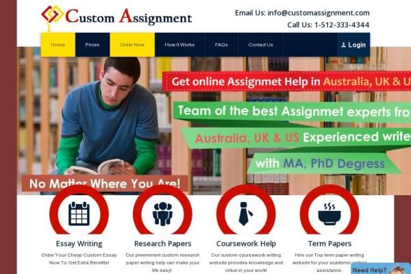 Custom homework help websites